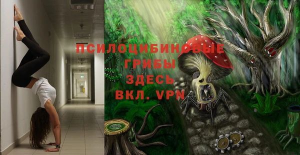 прущий лед Няндома