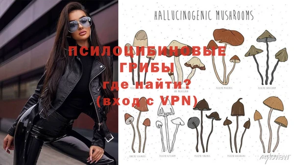 кокаин перу Новозыбков