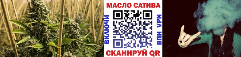 где продают   omg ссылка  ТГК гашишное масло  Змеиногорск 