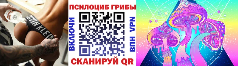 Галлюциногенные грибы Cubensis  Змеиногорск 